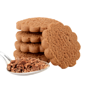 Proteïnekoekjes biscozone cacao